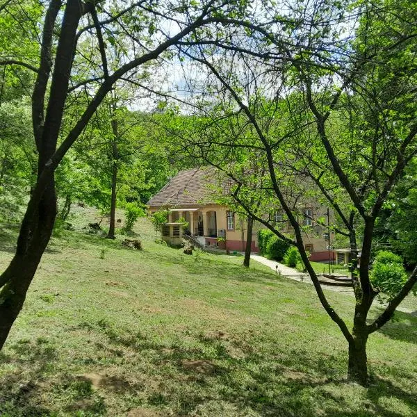 Tilia Ház，位于绍尔戈陶尔扬的酒店