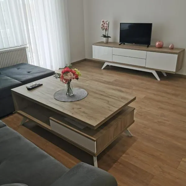 Apartman Juric，位于波素斯捷的酒店