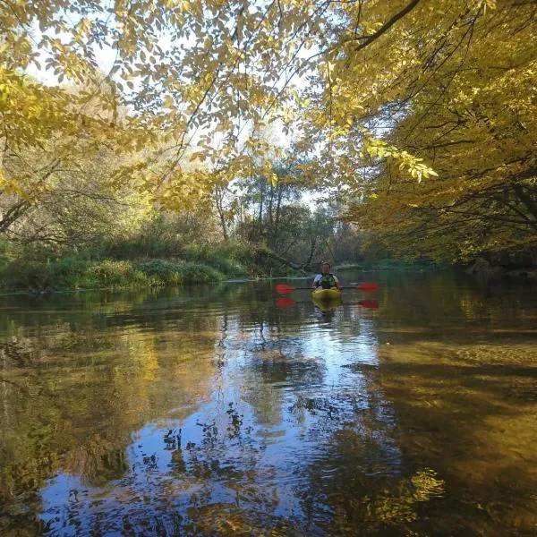 Pole Namiotowe Liswarta，位于Wąsosz Górny的酒店