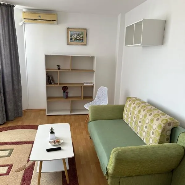 Apartament Amalia，位于罗曼的酒店