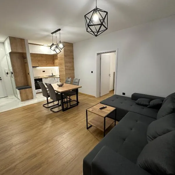 Apartment MAFILTA，位于Veternik的酒店