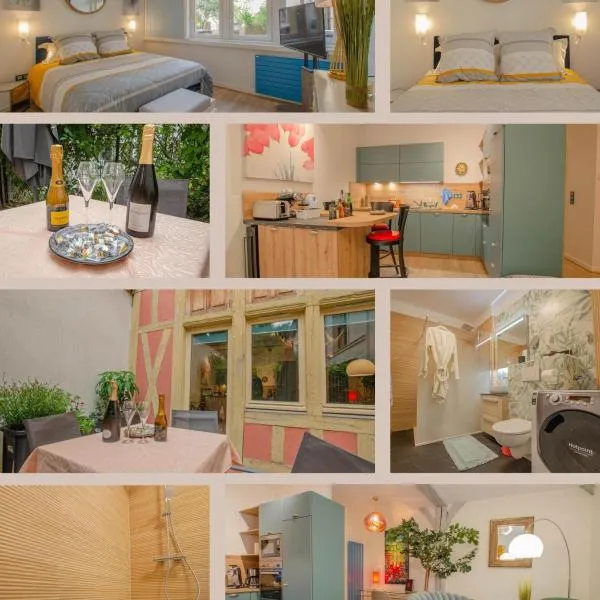 Superbe appartement au coeur de Troyes，位于特鲁瓦的酒店
