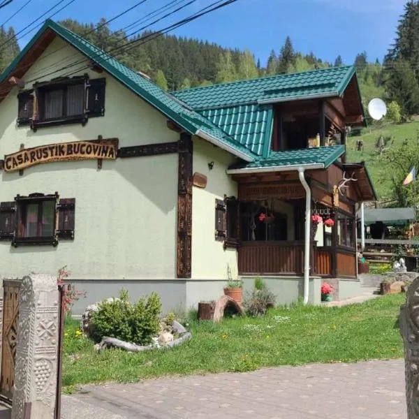 Casa Rustik Bucovina，位于Valea Putnei的酒店