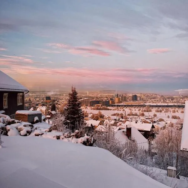 Apartment in Lillestrøm with free parking and great view, sleep 3 people，位于利勒斯特罗姆的酒店