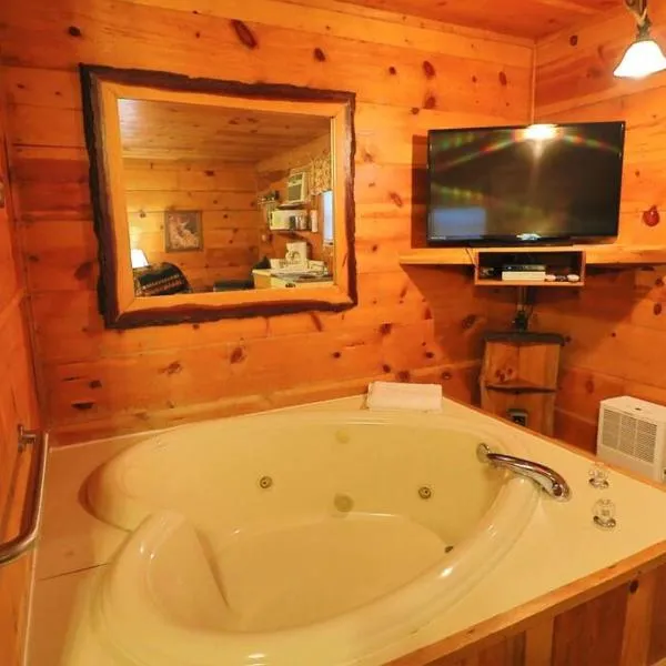 Alpine Mountain Sweetheart Cabin Jacuzzi #8，位于海伦的酒店