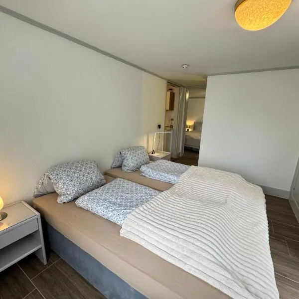 2 Rooms with kitchen by Interlaken，位于Därligen的酒店