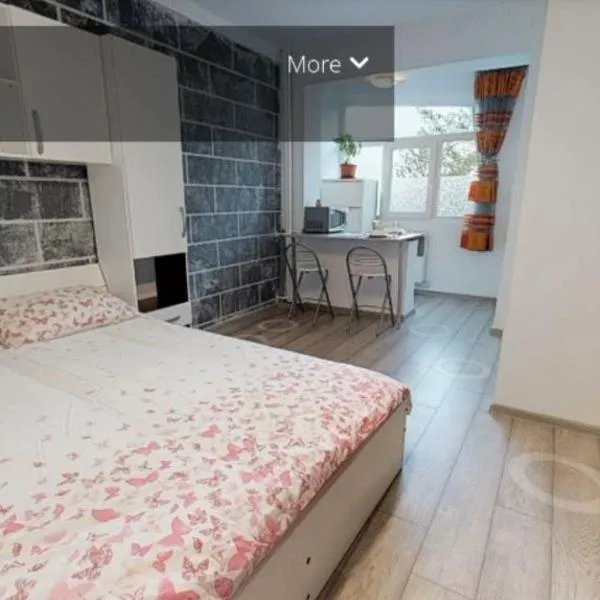 Victoria's Studio Deva，位于德瓦的酒店