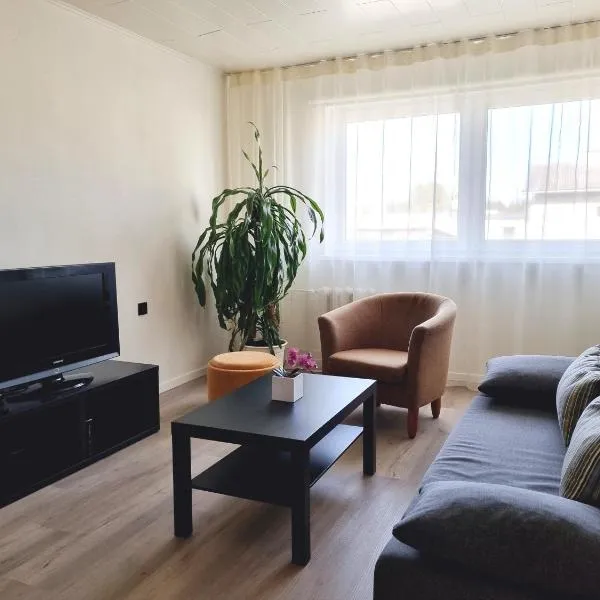 Räpina Apartment，位于Nulga的酒店