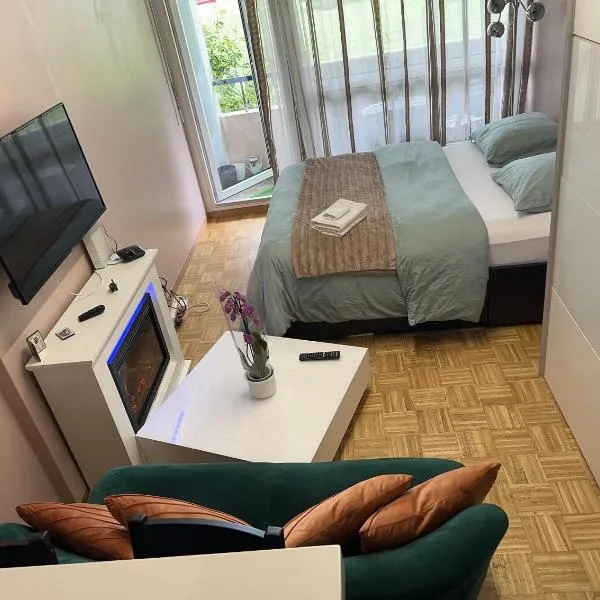 Chambre Confortable disponible à Genève，位于Chêne-Bourg的酒店