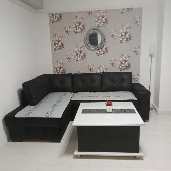 Apartman ZAFIROVI，位于斯塔多伊兰的酒店