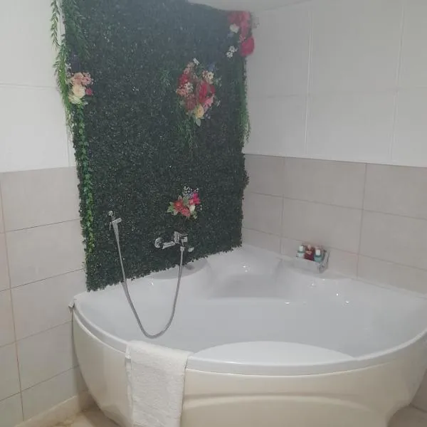 Apartman Tomic，位于布尔奇科的酒店
