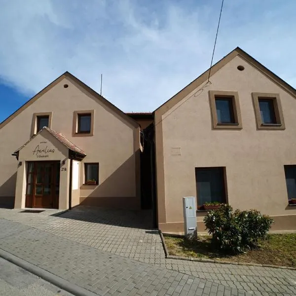 Penzionu Aurelius u Bednářů，位于巴甫洛夫的酒店