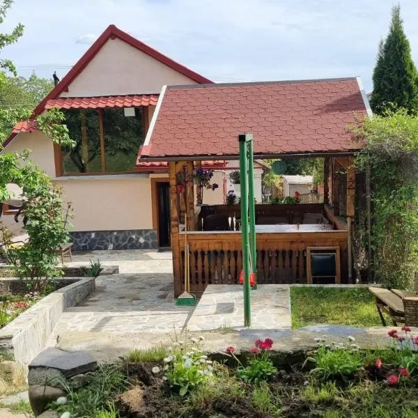 Pensiunea Mirela，位于布雷亚扎的酒店