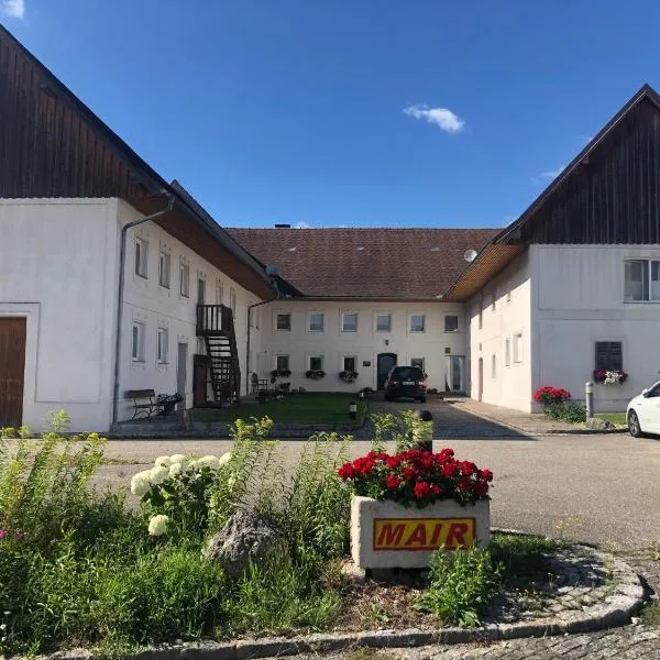 Babsi Appartments - leben am Land，位于Lambach的酒店