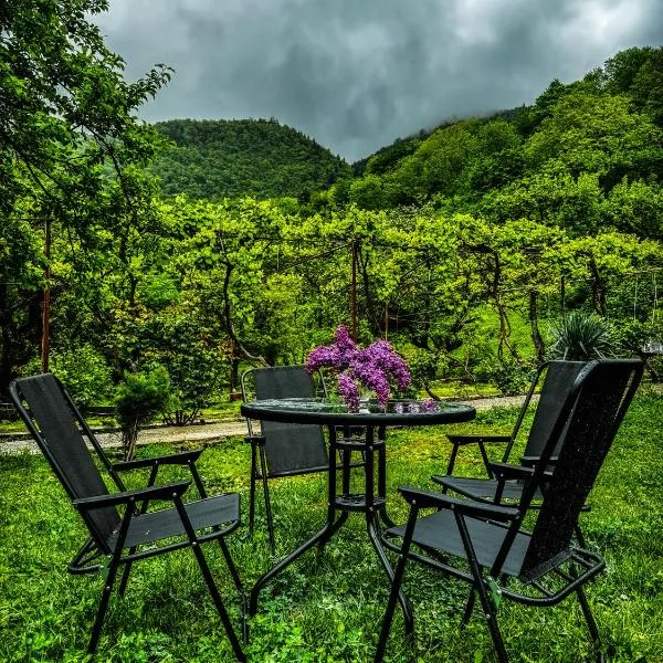 Family hotel mountain panorama，位于Surami的酒店