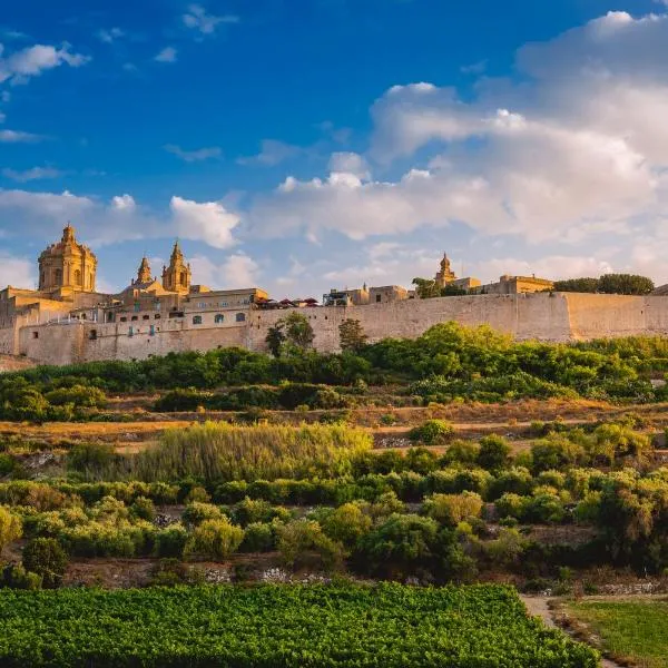 'Notabile' - Private Townhouse in Mdina，位于姆迪纳的酒店