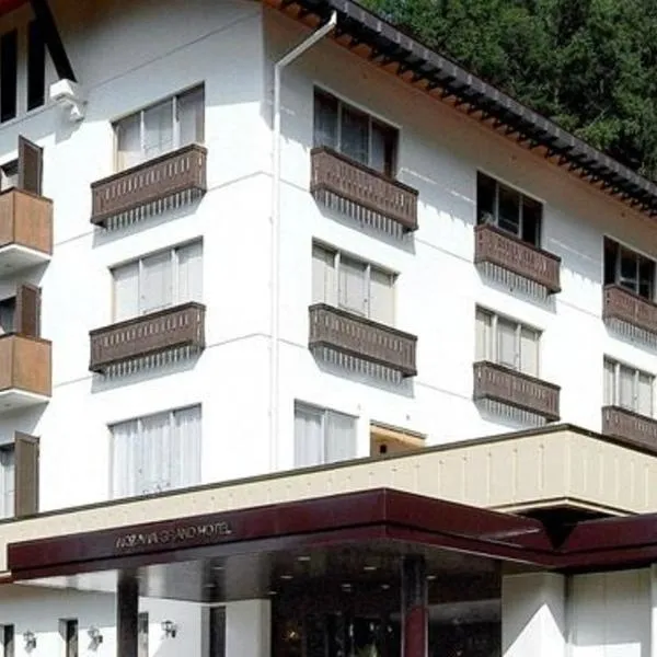 野泽大酒店，位于木岛平村的酒店