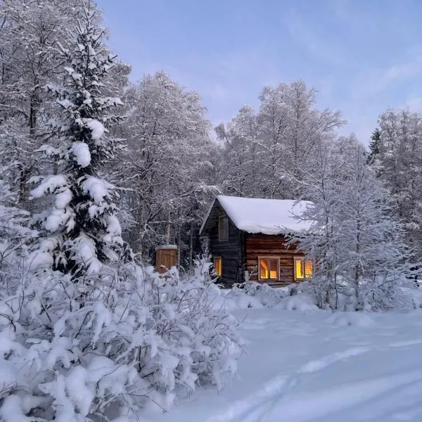 Gemütliche Blockhütte mit Außentoilette und Badezimmer im Haupthaus，位于Jörn的酒店