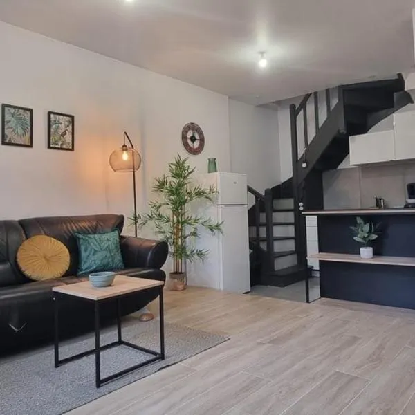1- appartement duplex 44 m2，位于芒特拉若利的酒店