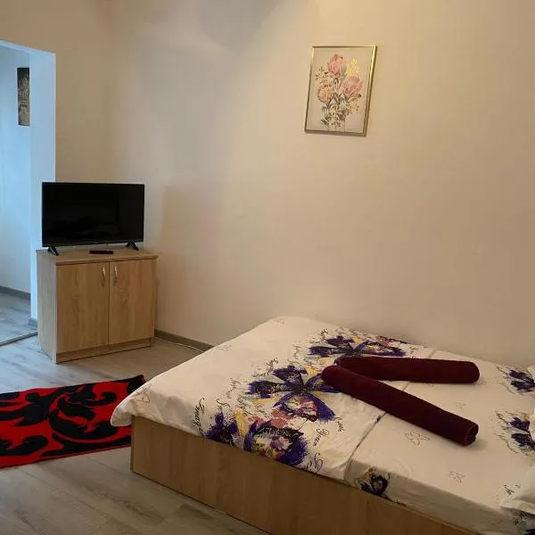 Apartament Costescu，位于Topleţ的酒店