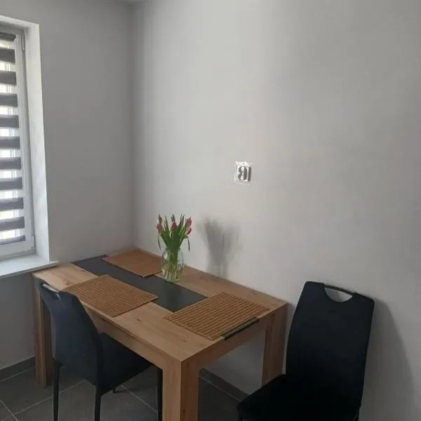 Apartament Młodzieżowa，位于皮什的酒店