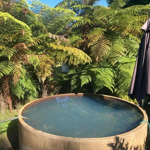 Cabin&geothermal pool by lake Taupo，位于汤加里罗的酒店