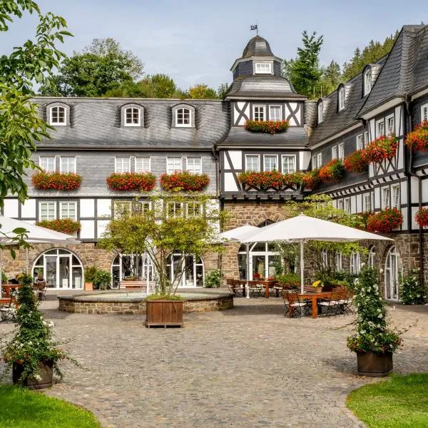 戴曼酒店，位于Oberhenneborn的酒店