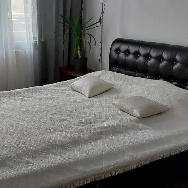 Apartament przy Stawie，位于Uraz的酒店