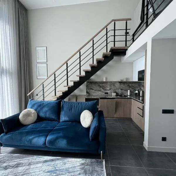 Cukura Loft，位于叶尔加瓦的酒店