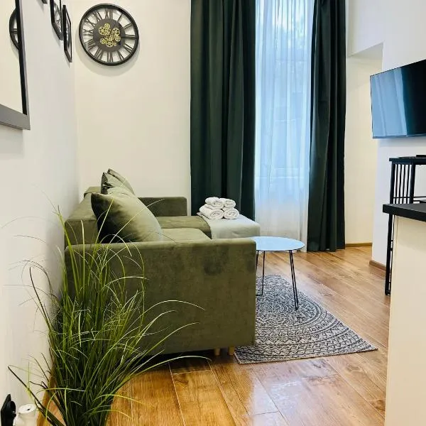 Apartament Krasińskiego，位于普热梅希尔的酒店