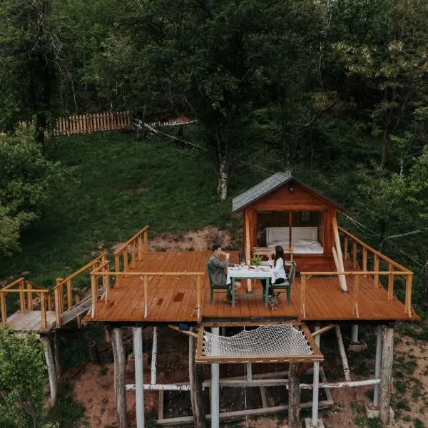 Cioclovina Tribe，位于Cioclovina的酒店