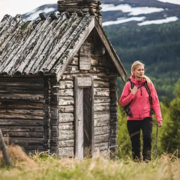 Trillevallens Högfjällshotell & Lägenheter，位于Järpen的酒店