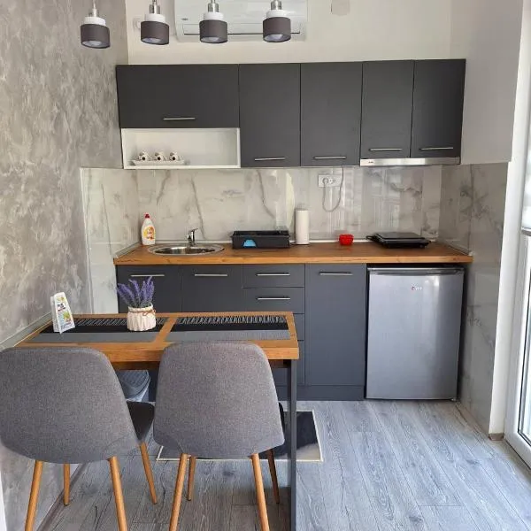 Apartmani Đorđević 2，位于哥鲁拜克的酒店