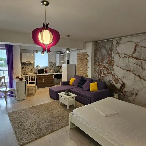 Airport Residence 3，位于奥托佩尼的酒店
