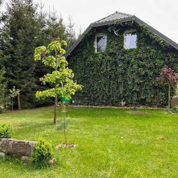 Pucówka na skraju Puszczy Białowieskiej，位于哈伊努夫卡的酒店