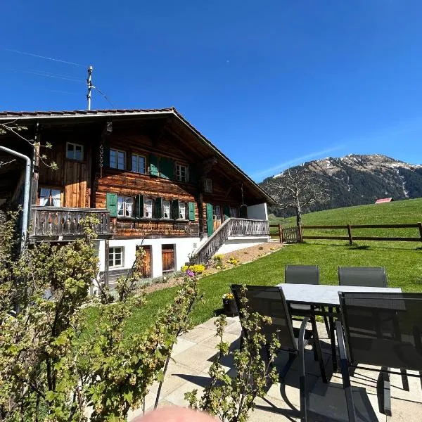 Alpenchalet Haldeli Gstaad Ferienwohnung im 1-Stock，位于阿德尔博登的酒店