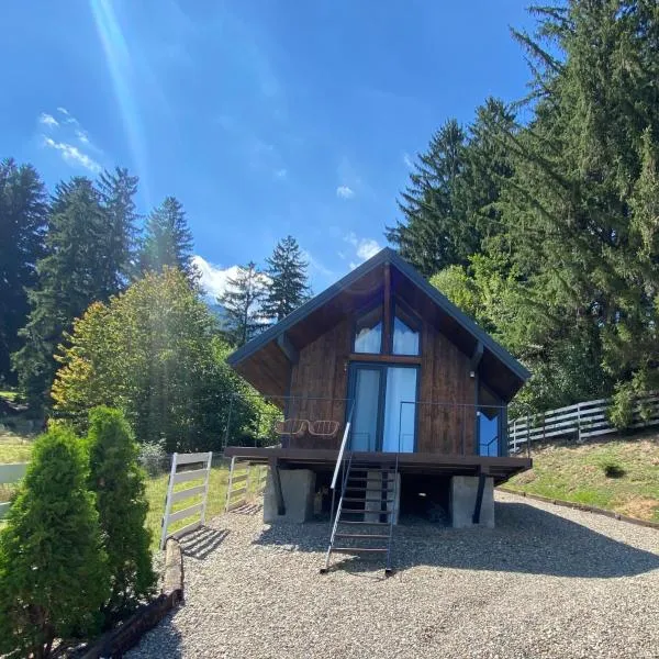 Bramble Tiny House，位于泽尔内什蒂的酒店