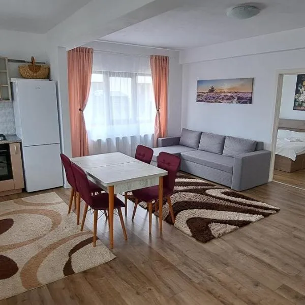 Apartament Sânpetru-Brașov，位于Sînpetru的酒店
