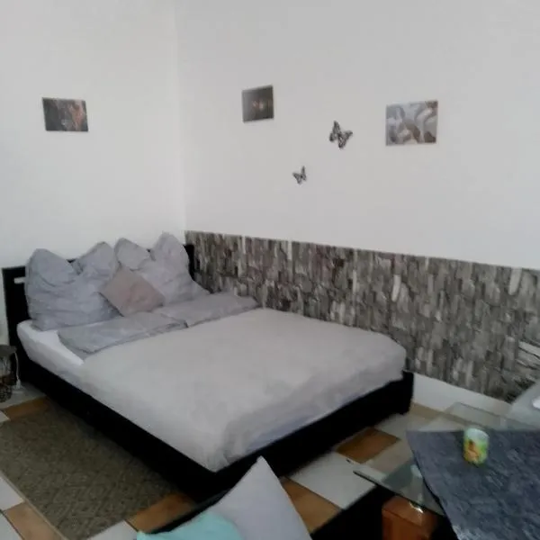 Studiowohnung, Neu renoviert, zentrale Lage，位于萨尔路易斯的酒店