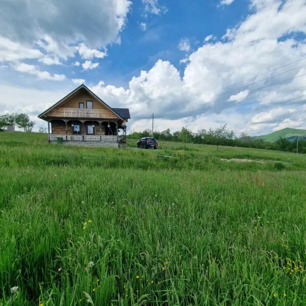 Casa bunicilor din Oncești，位于波耶尼莱伊泽的酒店