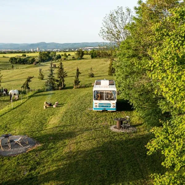 Bus Ikarus，位于普列维扎的酒店