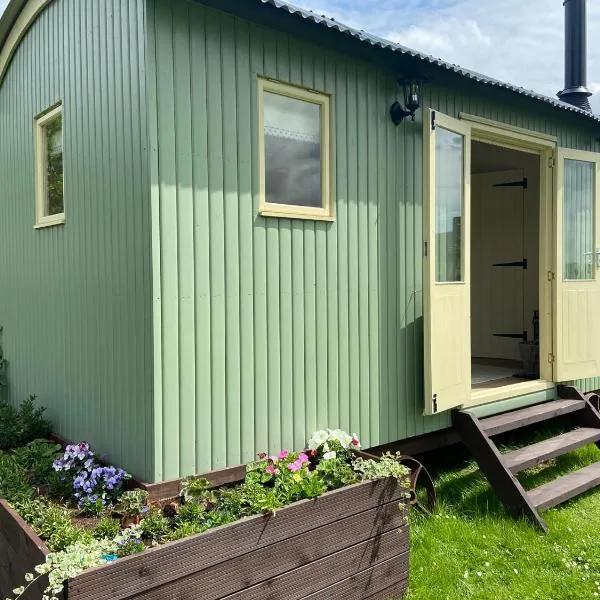 Willow Shepherd Hut，位于西洛尔的酒店