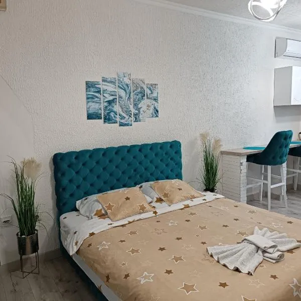 Apartman u centru 1，位于Šid的酒店