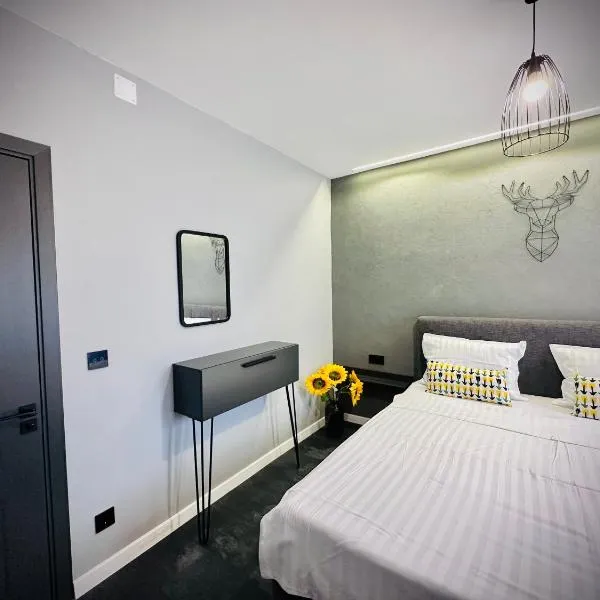 Central Place to Stay，位于雷希察的酒店