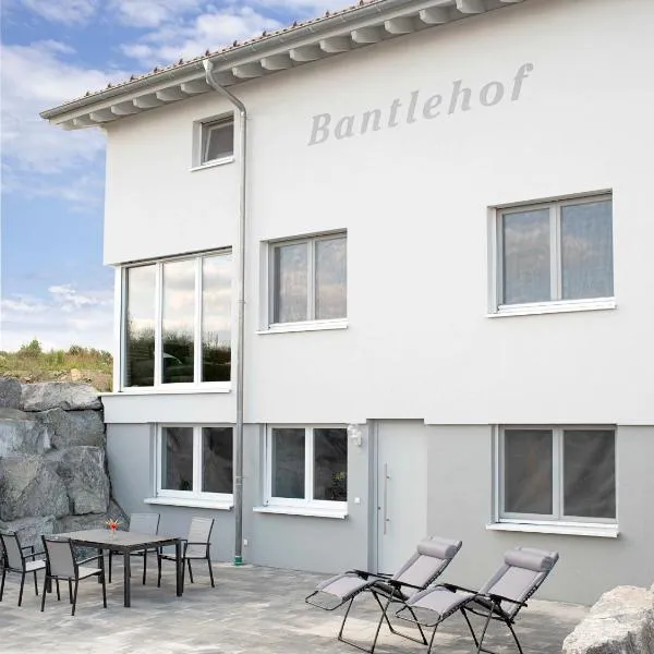 Bantlehof，位于Niedereschach的酒店