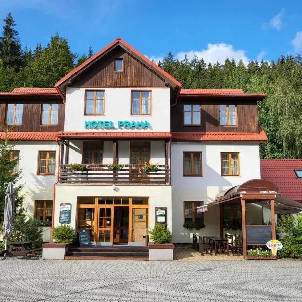 普拉哈酒店，位于Olešnice v Orlických horách的酒店