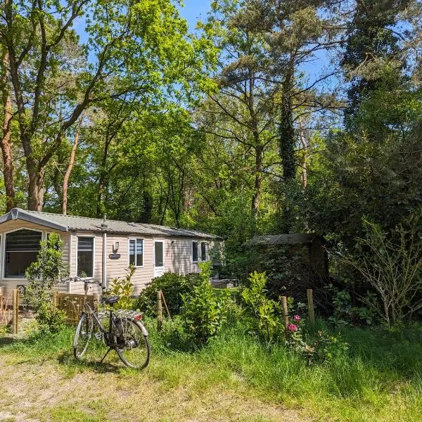 Ruim Chalet, midden in het bos!，位于比丁赫伊曾的酒店