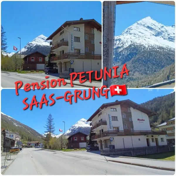 Chalet Petunia In Swiss Alps，位于萨斯格伦德的酒店