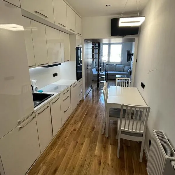 Apartament Milewskiego，位于图雷克的酒店