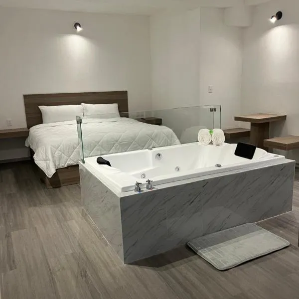 Hotel Blanco Pachuca，位于Mineral de la Reforma的酒店